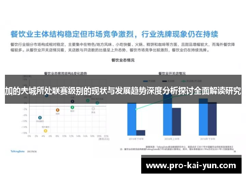 加的夫城所处联赛级别的现状与发展趋势深度分析探讨全面解读研究