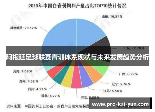 阿根廷足球联赛青训体系现状与未来发展趋势分析