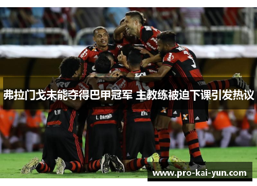 弗拉门戈未能夺得巴甲冠军 主教练被迫下课引发热议 弗拉门戈未能夺得巴甲冠军 主教练被迫下课引发热议