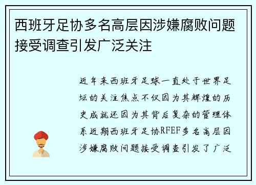 西班牙足协多名高层因涉嫌腐败问题接受调查引发广泛关注 西班牙足协多名高层因涉嫌腐败问题接受调查引发广泛关注